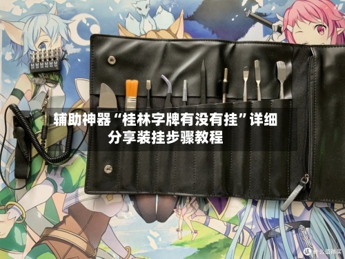 辅助神器“桂林字牌有没有挂”详细分享装挂步骤教程-第3张图片