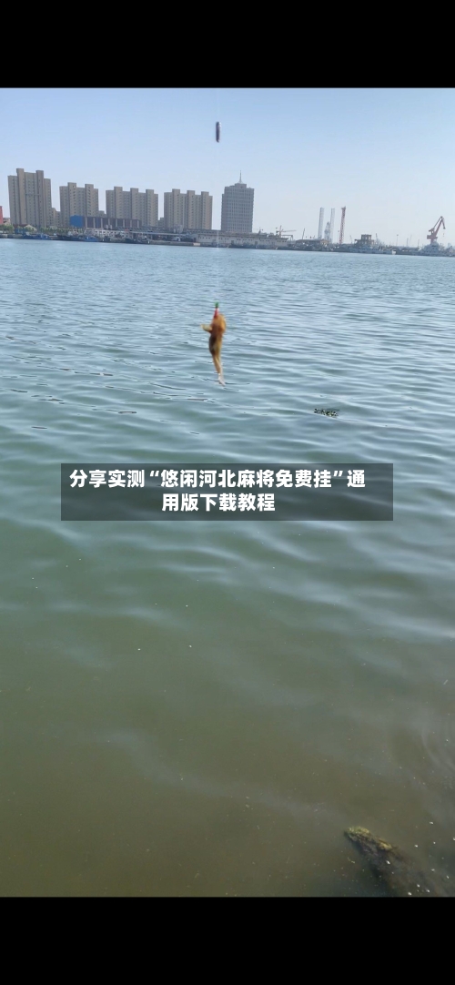 分享实测“悠闲河北麻将免费挂”通用版下载教程