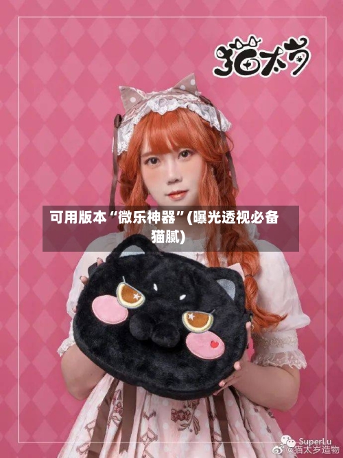 可用版本“微乐神器”(曝光透视必备猫腻)