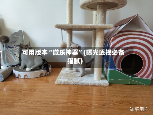 可用版本“微乐神器”(曝光透视必备猫腻)-第2张图片