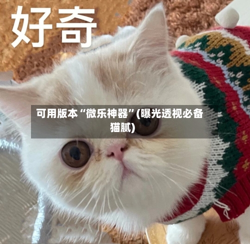 可用版本“微乐神器”(曝光透视必备猫腻)-第3张图片