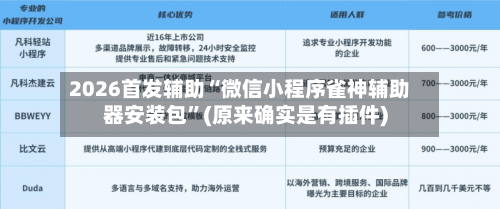 2026首发辅助“微信小程序雀神辅助器安装包	”(原来确实是有插件)-第2张图片