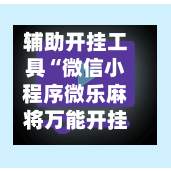 辅助开挂工具“微信小程序微乐麻将万能开挂器+透视挂	”开挂辅助软件教程-第3张图片