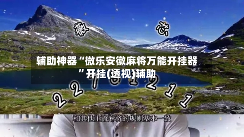 辅助神器“微乐安徽麻将万能开挂器	”开挂(透视)辅助-第3张图片