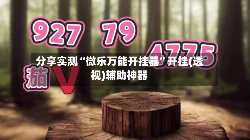 分享实测“微乐万能开挂器	”开挂(透视)辅助神器-第3张图片