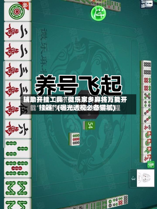 辅助开挂工具“微乐家乡麻将万能开挂器”(曝光透视必备猫腻)-第3张图片