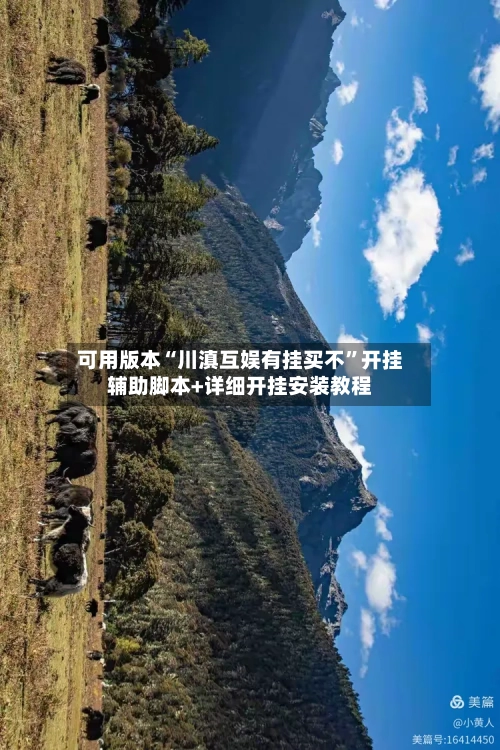 可用版本“川滇互娱有挂买不”开挂辅助脚本+详细开挂安装教程-第3张图片