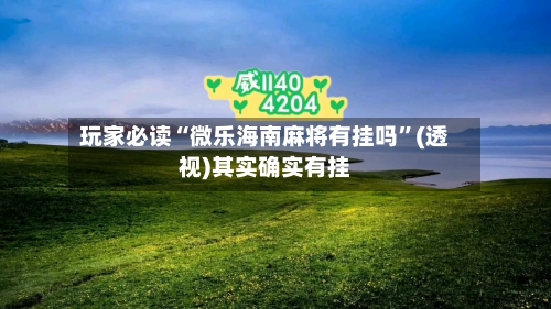 玩家必读“微乐海南麻将有挂吗”(透视)其实确实有挂-第2张图片