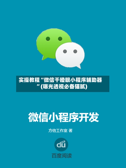 实操教程“微信干瞪眼小程序辅助器”(曝光透视必备猫腻)-第3张图片