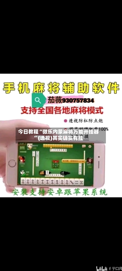 今日教程“微乐内蒙麻将万能开挂器”(透视)其实确实有挂-第3张图片