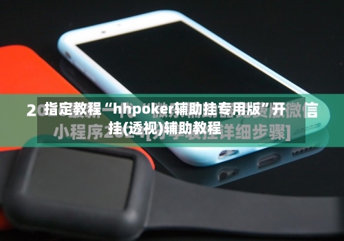 指定教程“hhpoker辅助挂专用版”开挂(透视)辅助教程-第2张图片