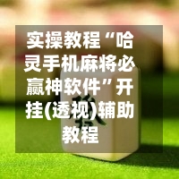 实操教程“哈灵手机麻将必赢神软件”开挂(透视)辅助教程-第2张图片