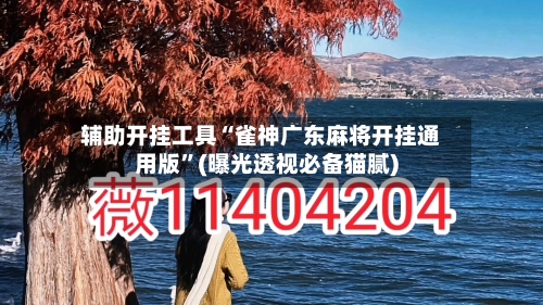辅助开挂工具“雀神广东麻将开挂通用版”(曝光透视必备猫腻)-第2张图片