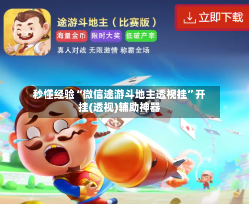 秒懂经验“微信途游斗地主透视挂”开挂(透视)辅助神器-第2张图片