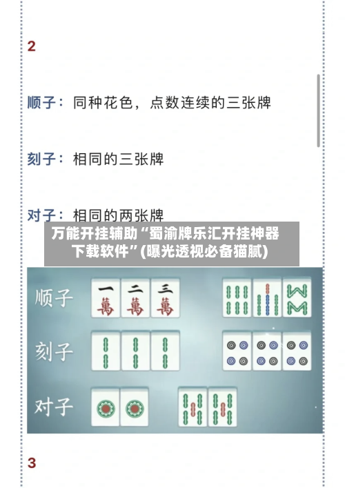 万能开挂辅助“蜀渝牌乐汇开挂神器下载软件	”(曝光透视必备猫腻)-第2张图片