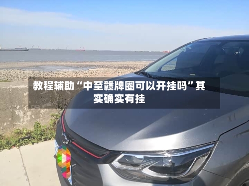 教程辅助“中至赣牌圈可以开挂吗	”其实确实有挂-第2张图片