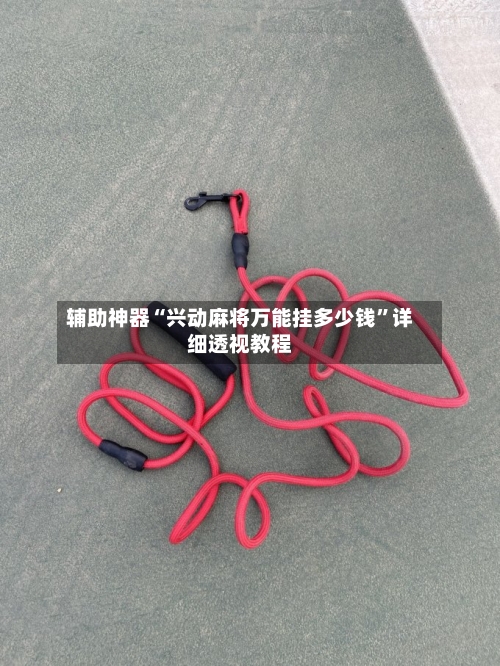 辅助神器“兴动麻将万能挂多少钱”详细透视教程-第3张图片