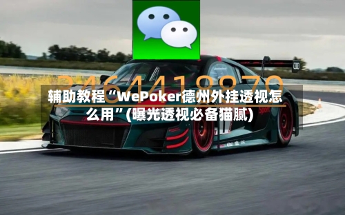 辅助教程“WePoker德州外挂透视怎么用”(曝光透视必备猫腻)