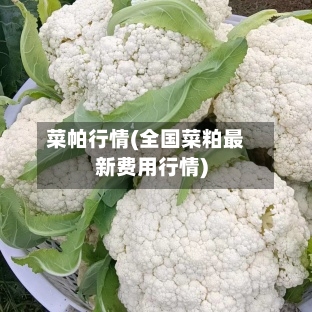 菜帕行情(全国菜粕最新费用行情)