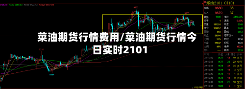 菜油期货行情费用/菜油期货行情今日实时2101