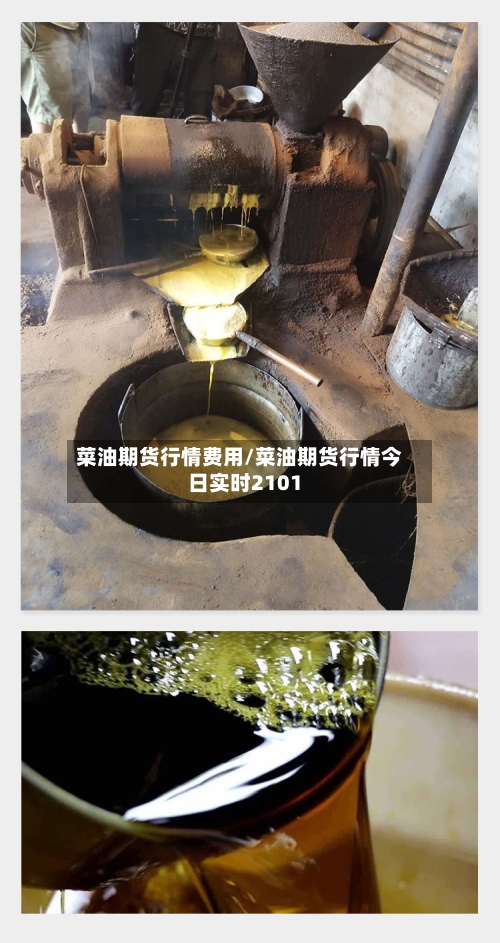 菜油期货行情费用/菜油期货行情今日实时2101-第2张图片