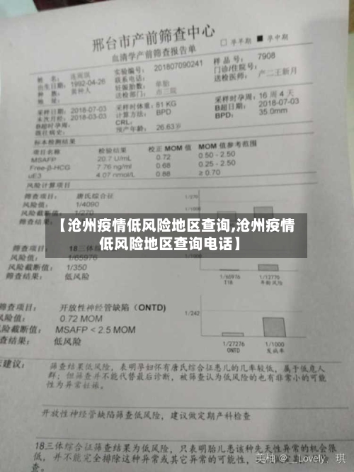 【沧州疫情低风险地区查询,沧州疫情低风险地区查询电话】