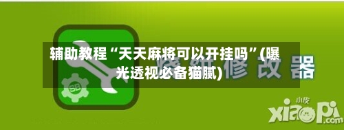 辅助教程“天天麻将可以开挂吗”(曝光透视必备猫腻)-第2张图片