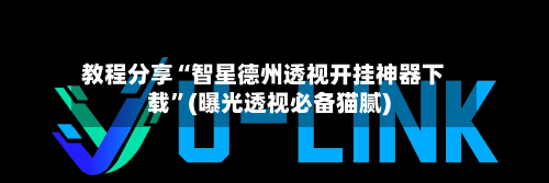教程分享“智星德州透视开挂神器下载”(曝光透视必备猫腻)-第3张图片