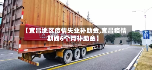 【宜昌地区疫情失业补助金,宜昌疫情期间6个月补助金】
