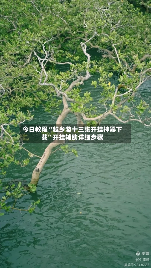 今日教程“越乡游十三张开挂神器下载	”开挂辅助详细步骤-第2张图片