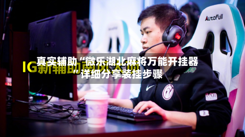 真实辅助“微乐湖北麻将万能开挂器”详细分享装挂步骤-第2张图片