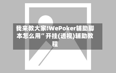 我来教大家!WePoker辅助脚本怎么用	”开挂(透视)辅助教程-第2张图片