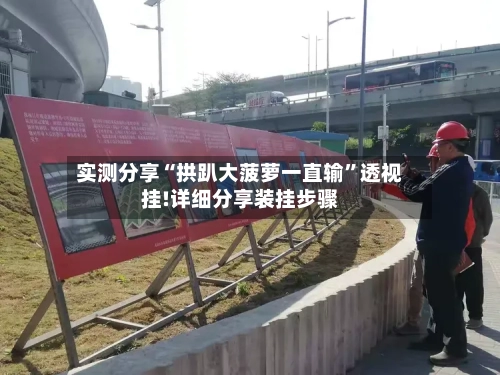 实测分享“拱趴大菠萝一直输	”透视挂!详细分享装挂步骤-第2张图片