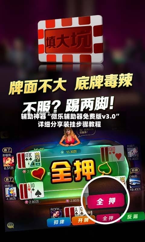辅助神器“微乐辅助器免费版v3.0”详细分享装挂步骤教程