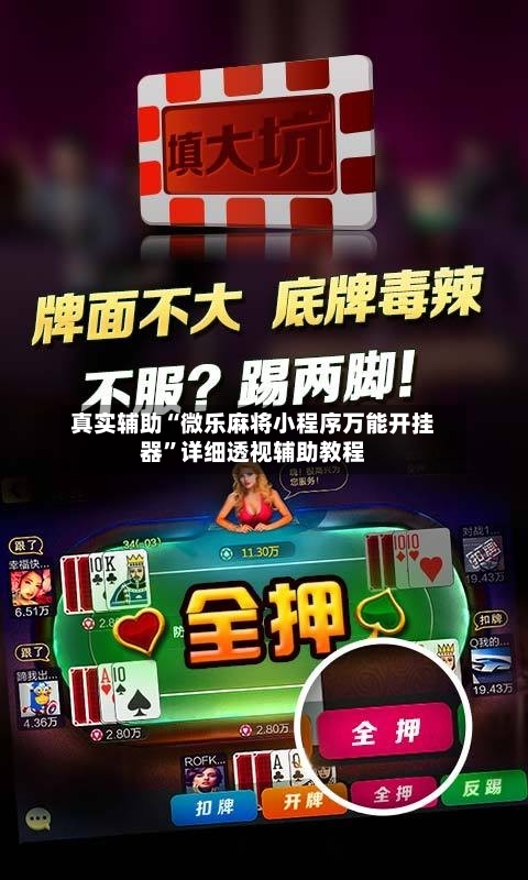真实辅助“微乐麻将小程序万能开挂器”详细透视辅助教程-第2张图片