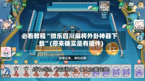 必看教程“微乐四川麻将外卦神器下载	”(原来确实是有插件)-第2张图片