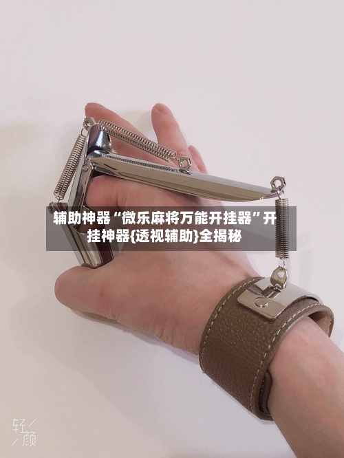 辅助神器“微乐麻将万能开挂器”开挂神器{透视辅助}全揭秘-第2张图片