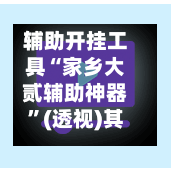辅助开挂工具“家乡大贰辅助神器”(透视)其实确实有挂-第2张图片
