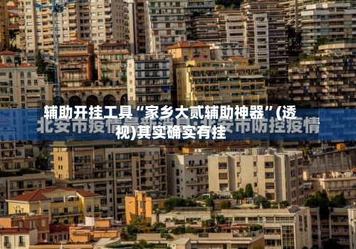 辅助开挂工具“家乡大贰辅助神器”(透视)其实确实有挂-第3张图片
