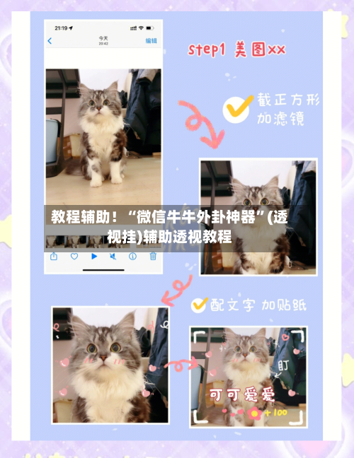 教程辅助！“微信牛牛外卦神器	”(透视挂)辅助透视教程-第2张图片