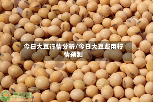 今日大豆行情分析/今日大豆费用行情预测