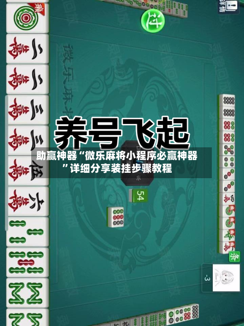 助赢神器“微乐麻将小程序必赢神器”详细分享装挂步骤教程