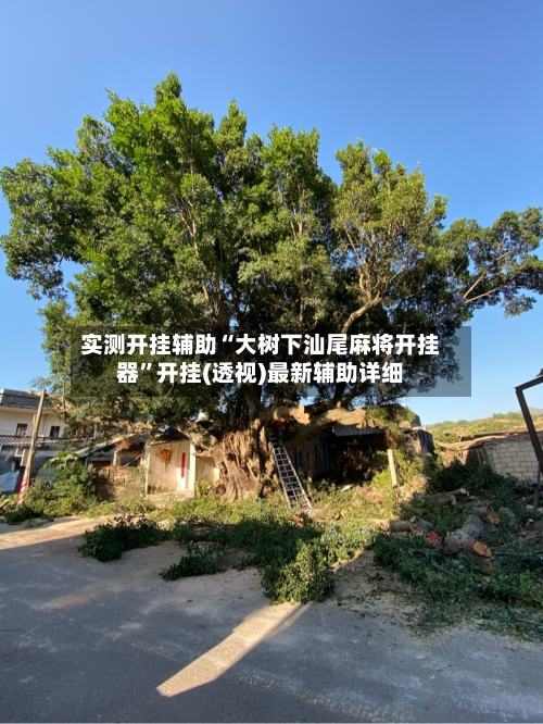 实测开挂辅助“大树下汕尾麻将开挂器”开挂(透视)最新辅助详细-第2张图片