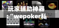 玩家辅助神器:“wepoker私人局透视脚本”科技辅助神器手机版教程