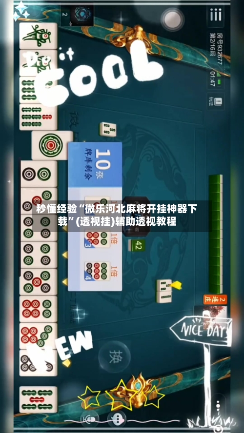 秒懂经验“微乐河北麻将开挂神器下载”(透视挂)辅助透视教程