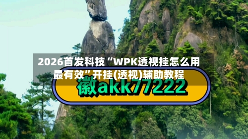 2026首发科技“WPK透视挂怎么用最有效”开挂(透视)辅助教程-第2张图片