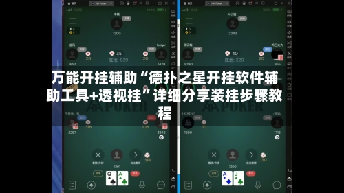 万能开挂辅助“德扑之星开挂软件辅助工具+透视挂	”详细分享装挂步骤教程-第2张图片