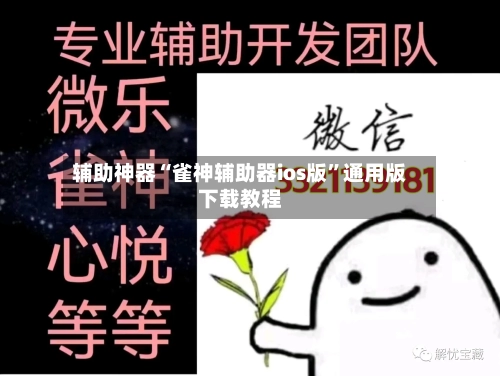 辅助神器“雀神辅助器ios版”通用版下载教程-第3张图片