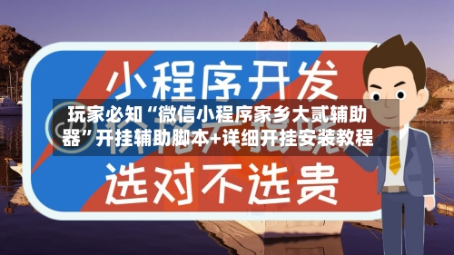 玩家必知“微信小程序家乡大贰辅助器	”开挂辅助脚本+详细开挂安装教程-第2张图片