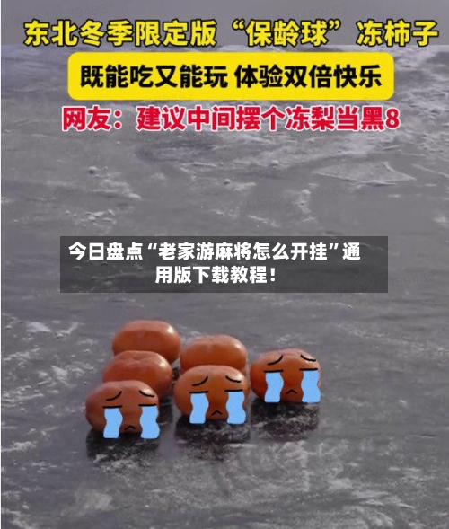 今日盘点“老家游麻将怎么开挂	”通用版下载教程！-第2张图片
